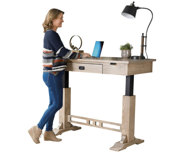 Craftsman Electric Sit To Stand Writer's Desk